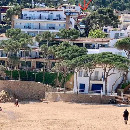 Apartment 100M Far From Beach Apartment Tamariu
